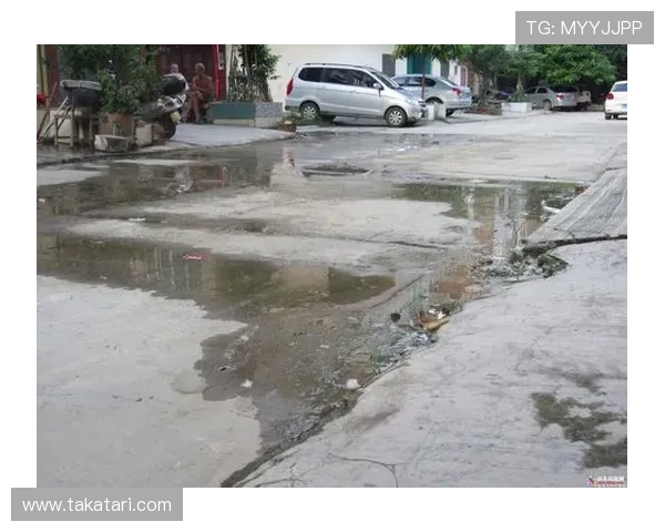 MG老虎机安全保障措施详解保障玩家资金安全与隐私保护的最新技术与平台信誉评估指南